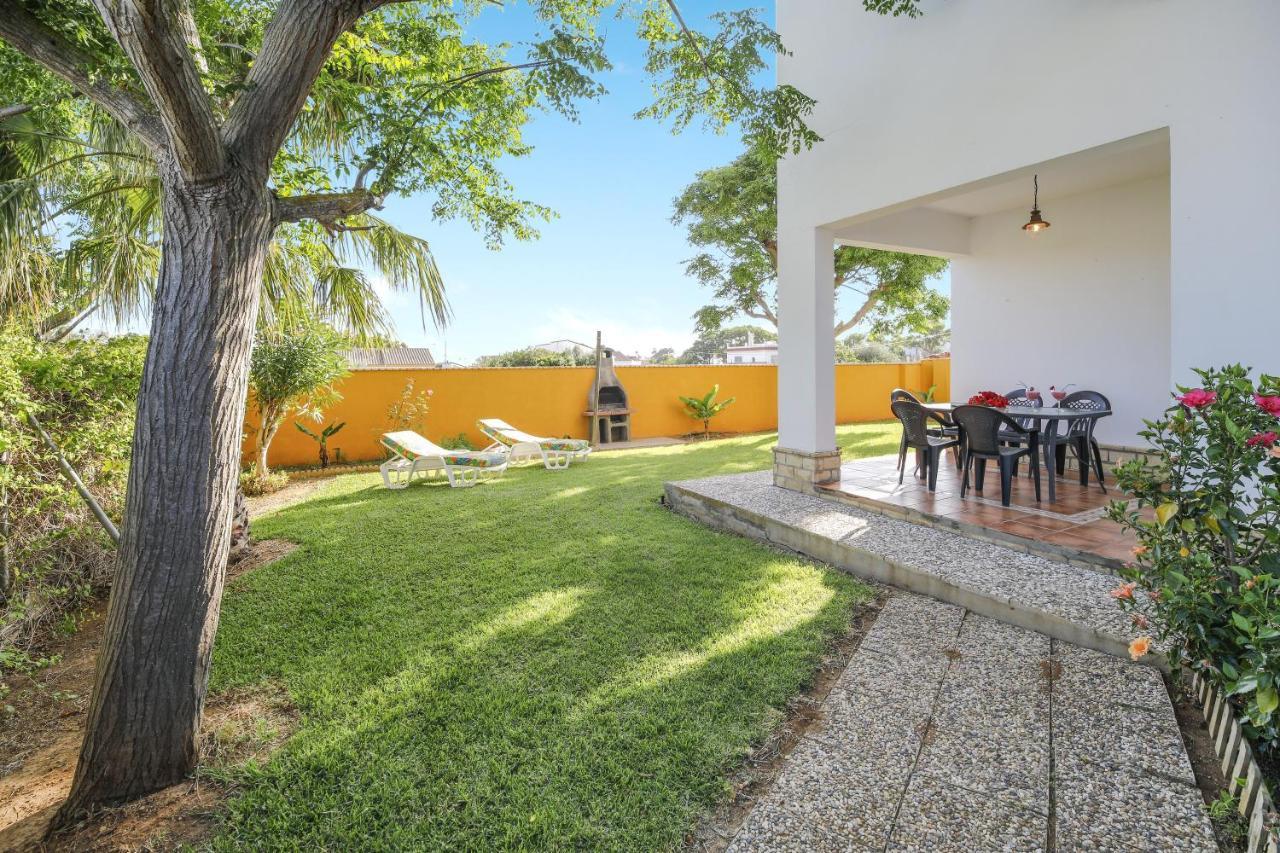 Paraisos 3 *